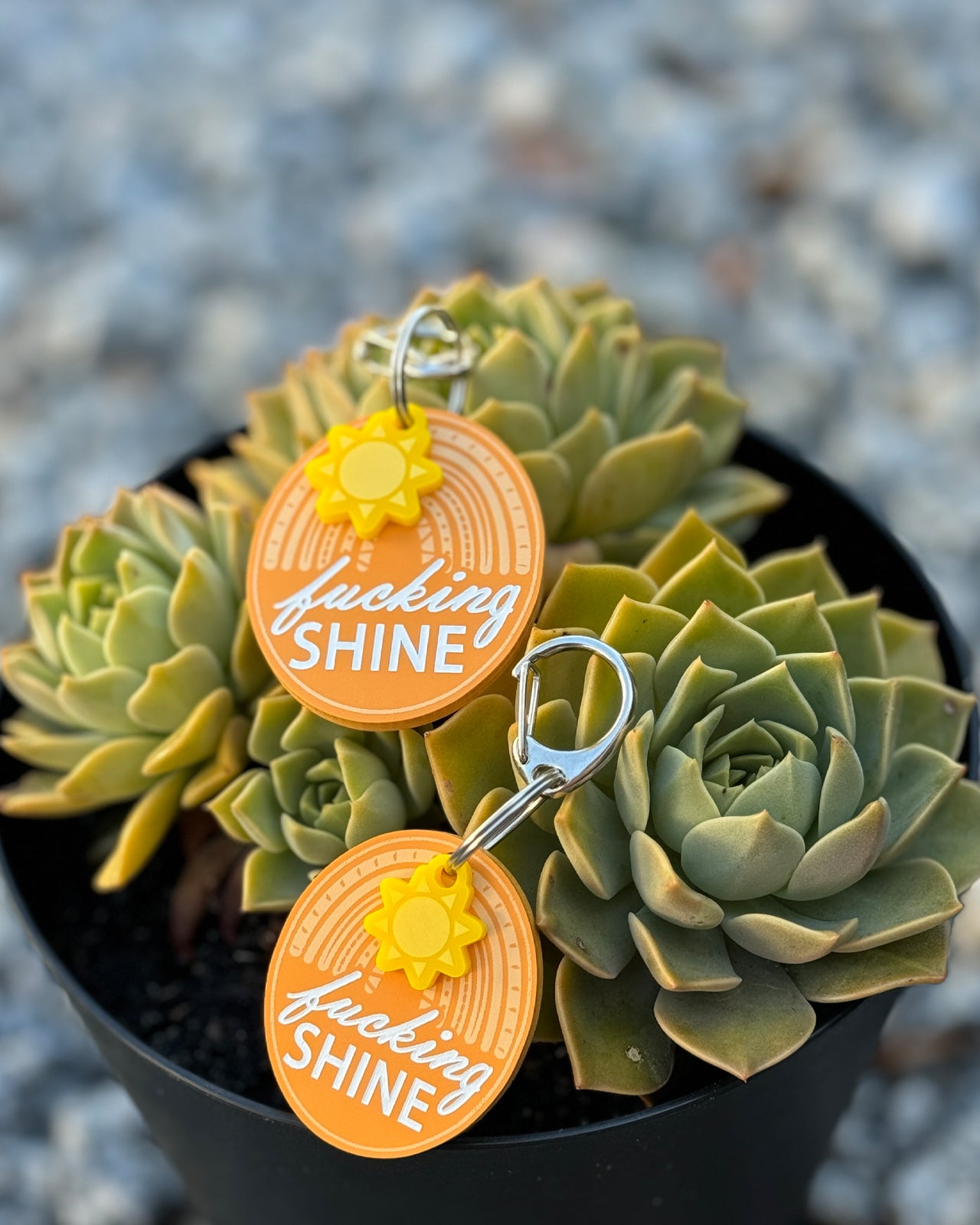 Acrylic Funny Pet Tag w/Flair