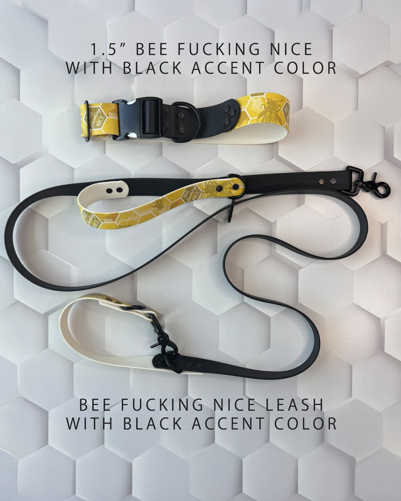 Dual Function Leash (BioThane)