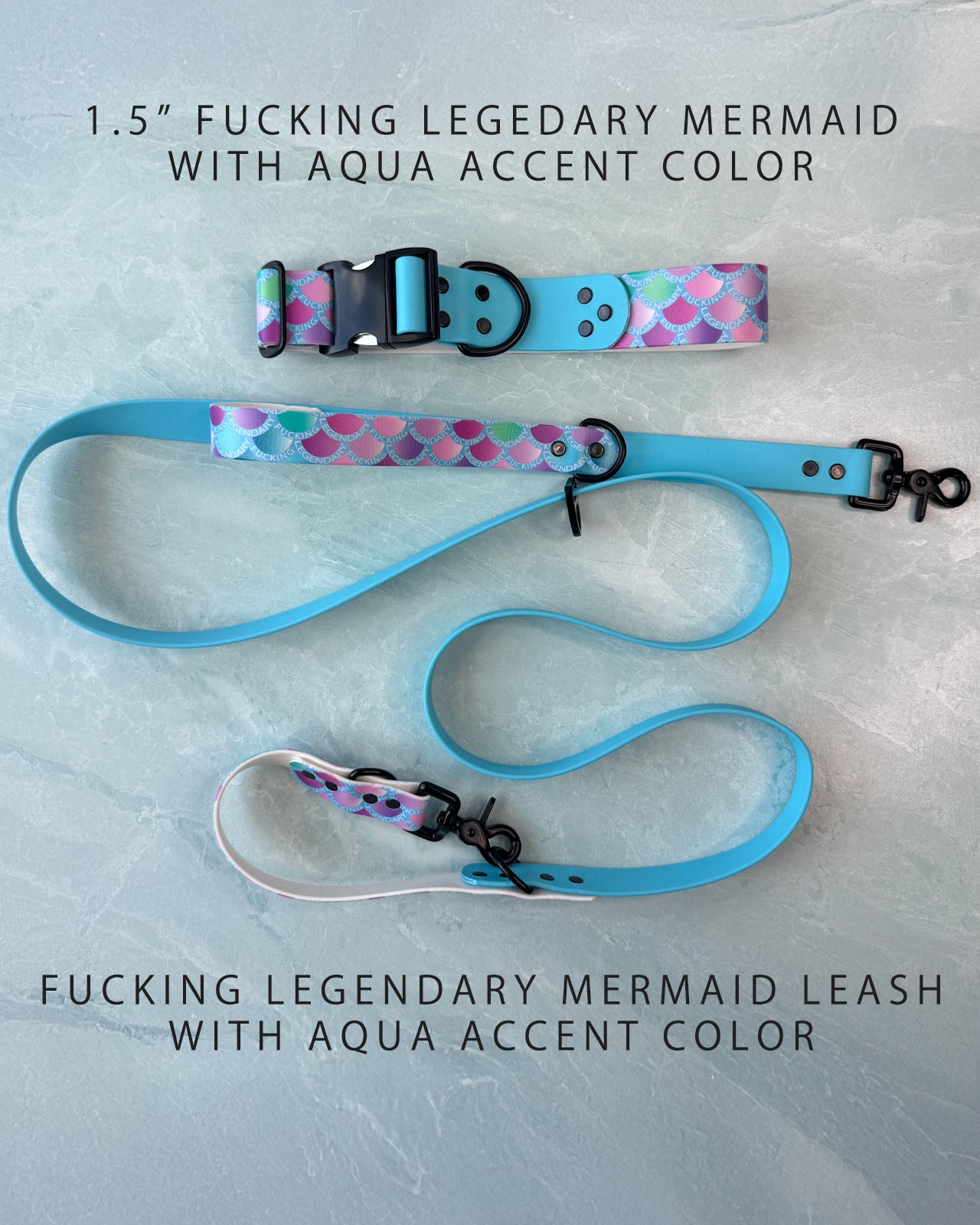 Dual Function Leash (BioThane)