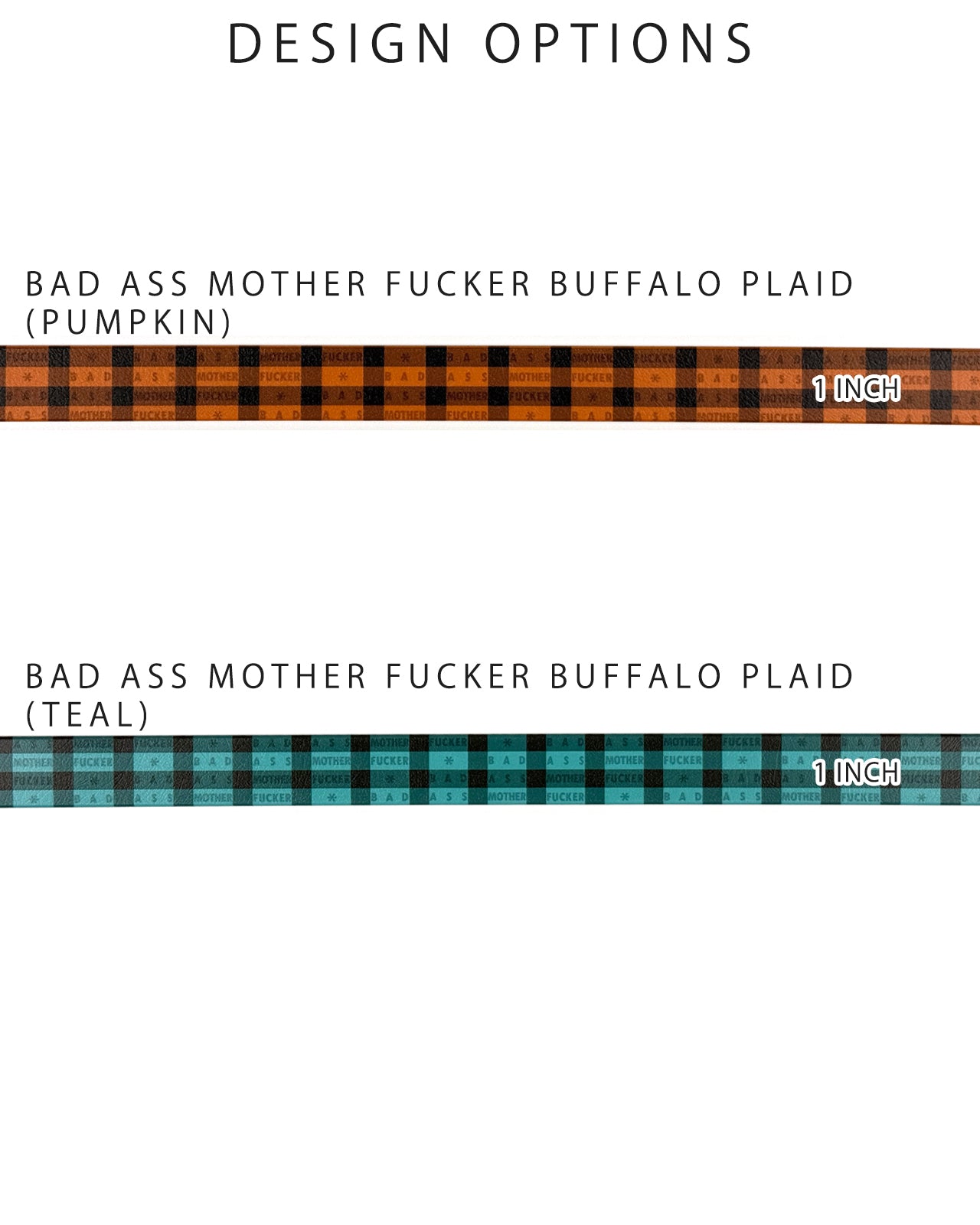 Dual Function Leash (BioThane)