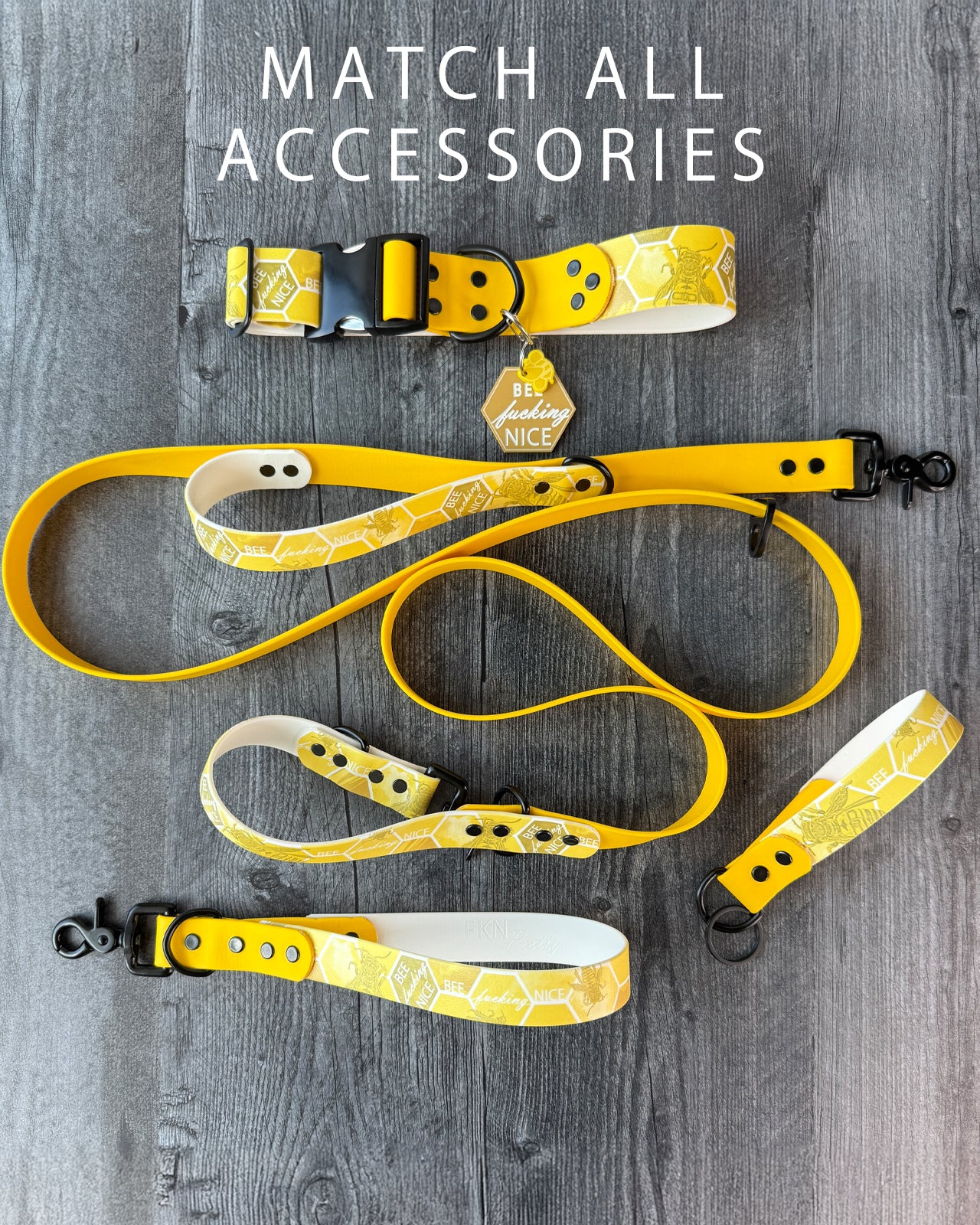 Dual Function Leash (BioThane)
