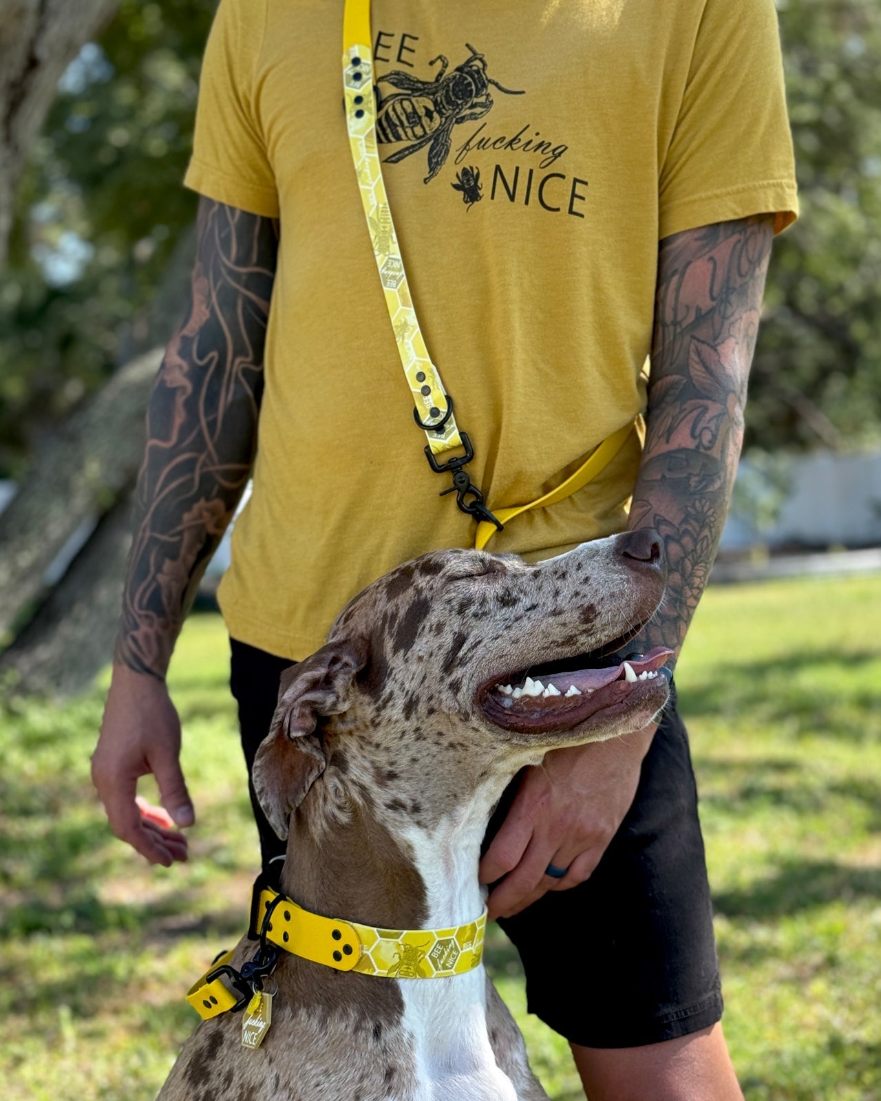 PETS