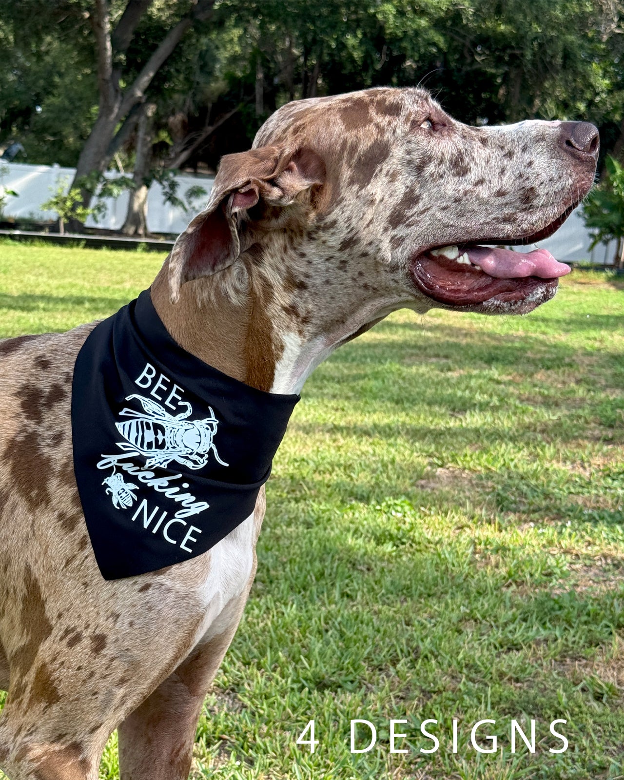 Dog Bandana
