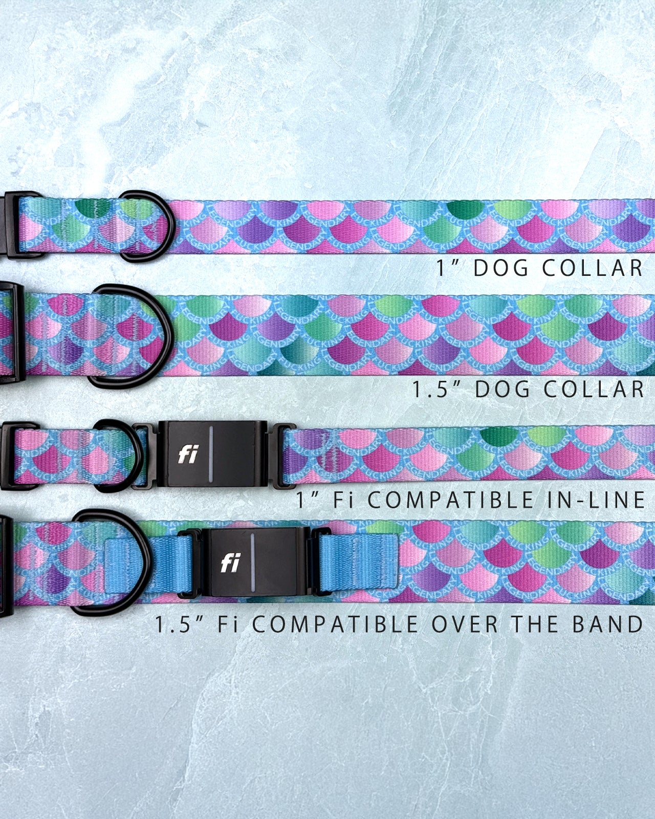 Dog Collar (Webbing)