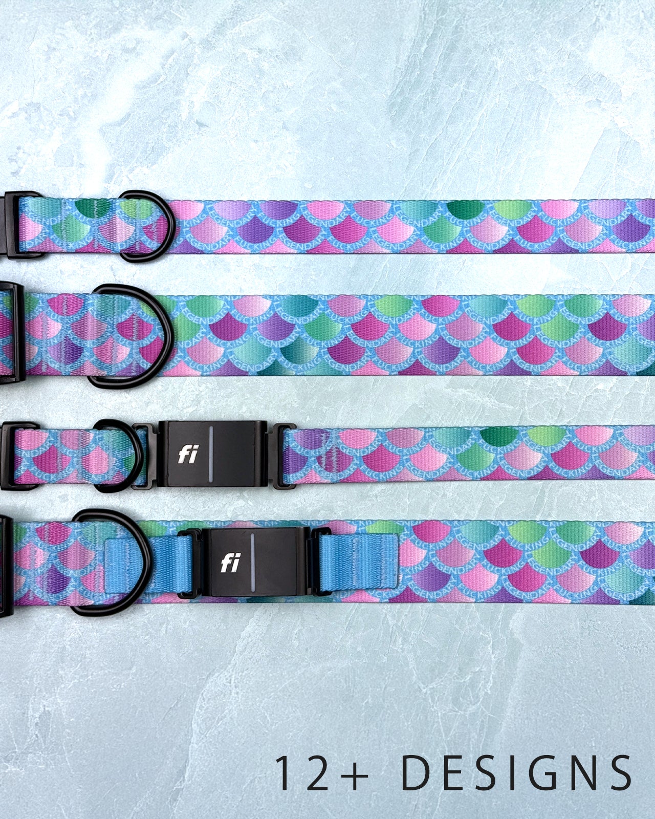 Dog Collar (Webbing)