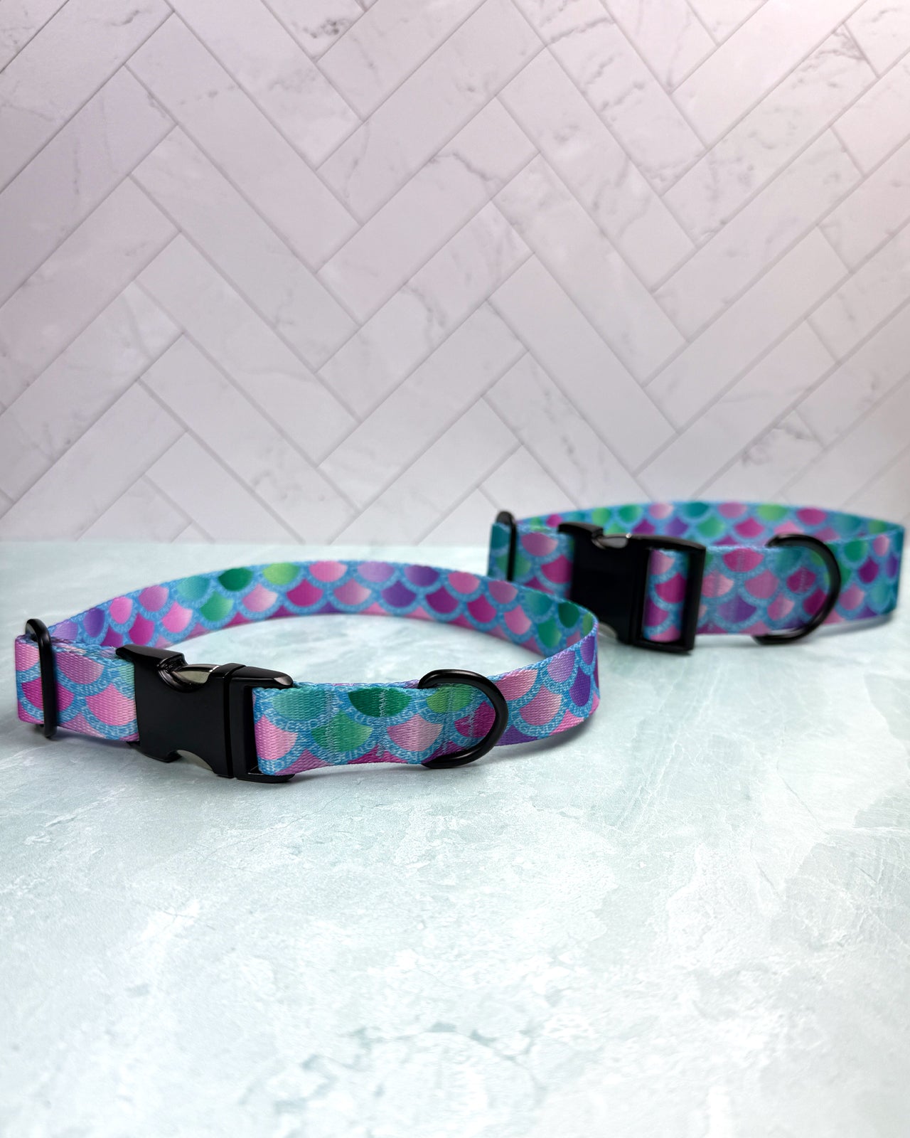 Dog Collar (Webbing)