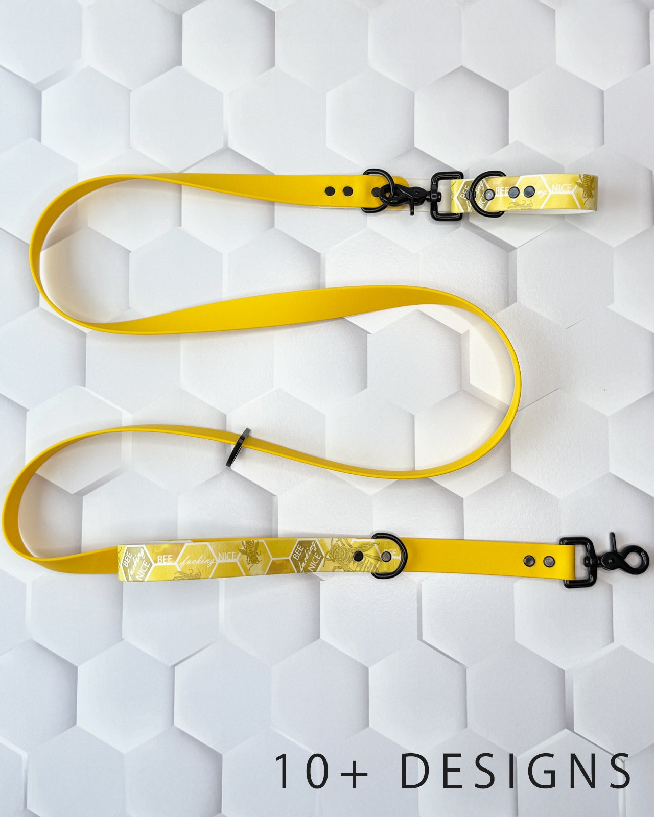 Dual Function Leash (BioThane)